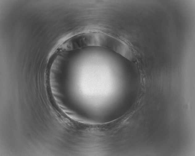X0000077980244200611101709