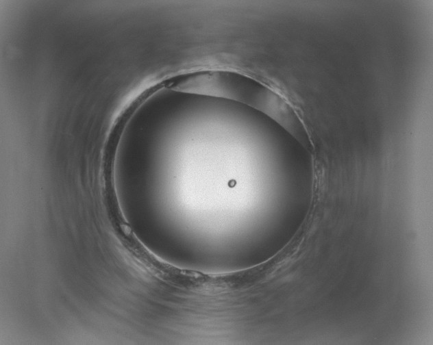 X0000077980248200611101709