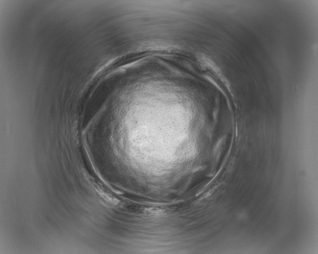X0000077980249200611101709