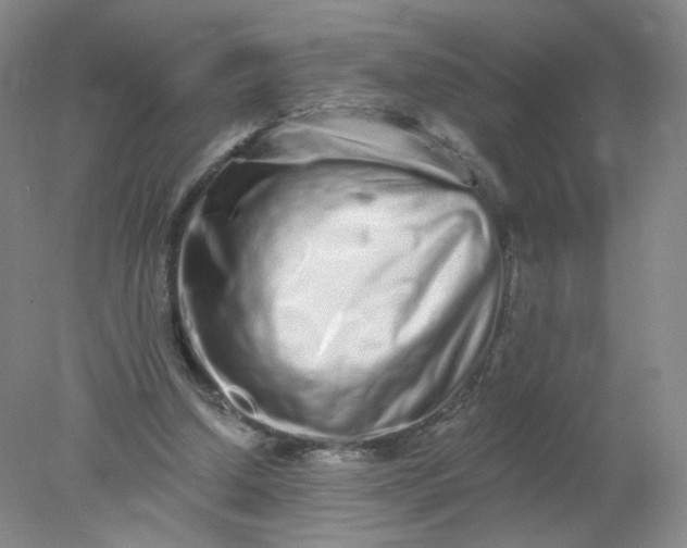 X0000077980250200611101709