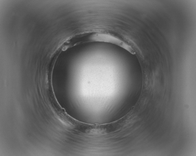 X0000077980251200611101709