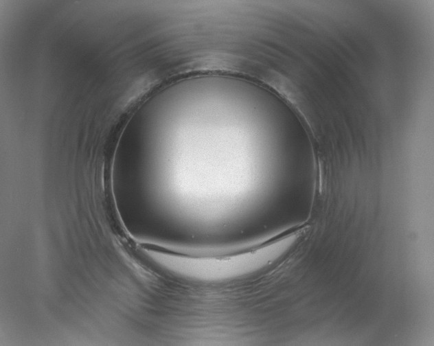 X0000077980253200611101709