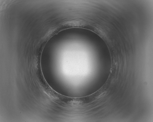 X0000077980255200611101710