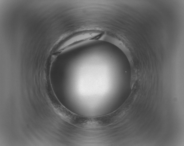 X0000077980256200611101710