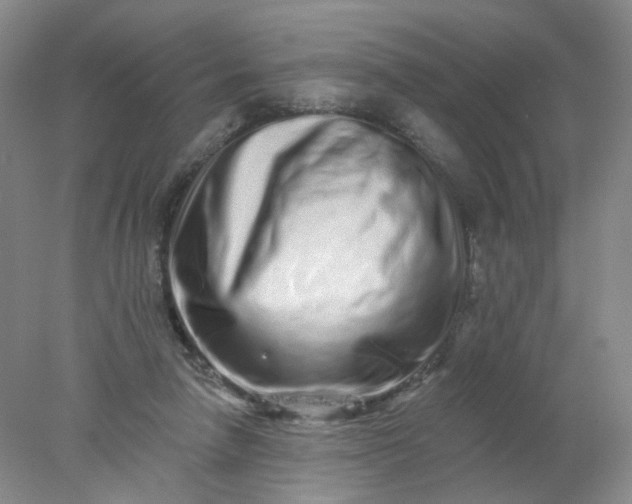 X0000077980258200611101710
