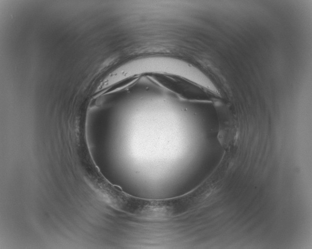 X0000077980260200611101710
