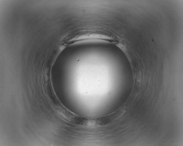 X0000077980264200611101710