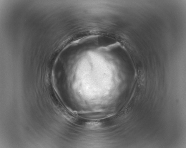 X0000077980266200611101710