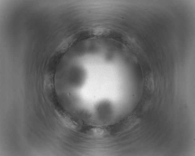 X0000077980272200611101710