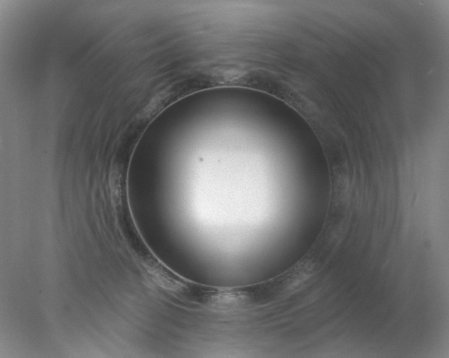 X0000077980274200611101710