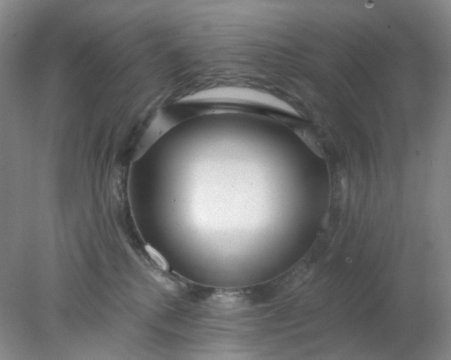 X0000077980280200611101710