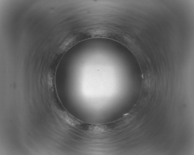 X0000077980282200611101710