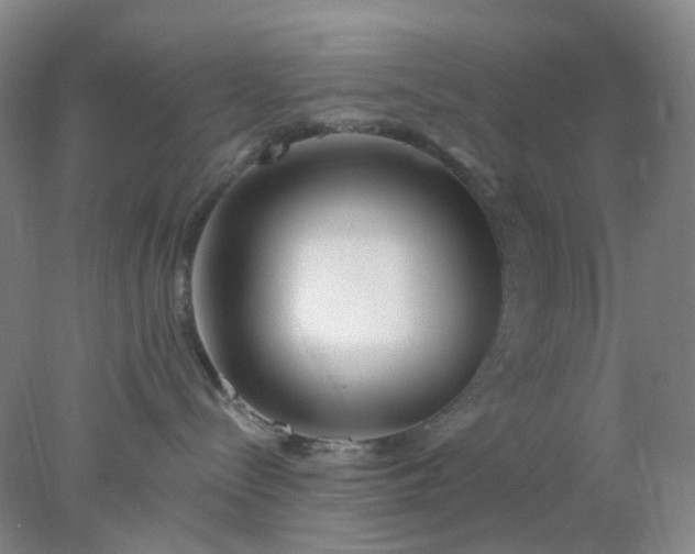 X0000077980288200611101710