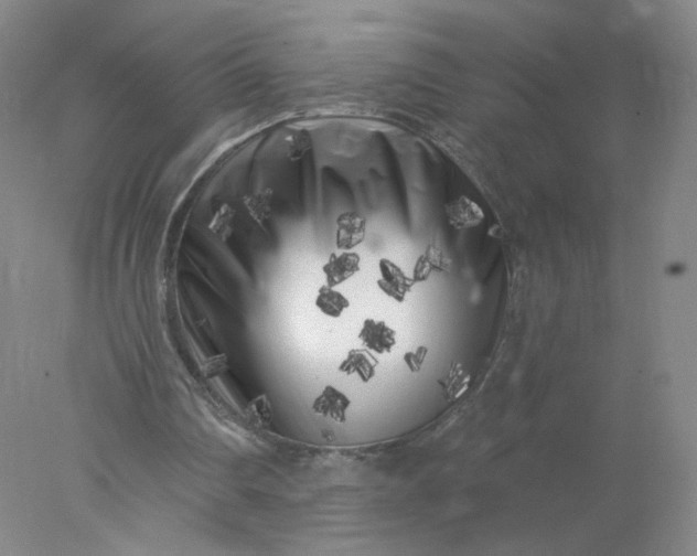 X0000077980290200611101709