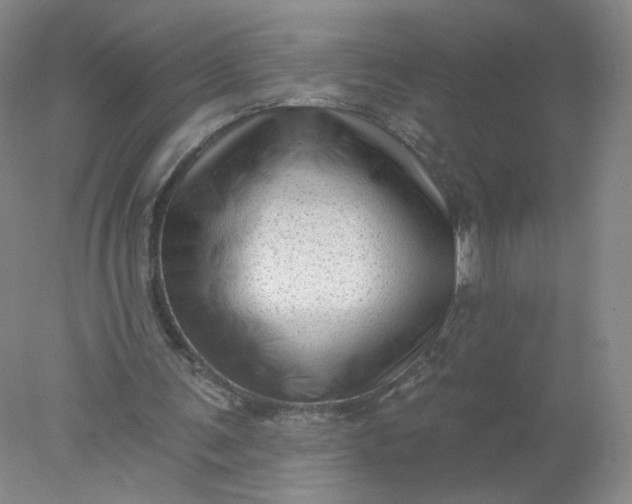 X0000077980291200611101709