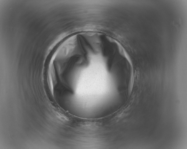 X0000077980292200611101709