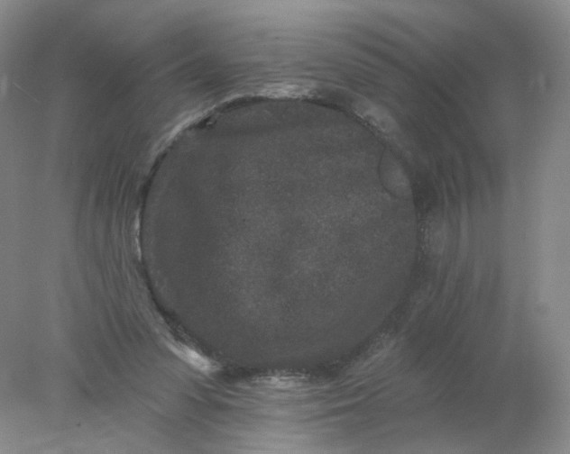 X0000077980303200611101709