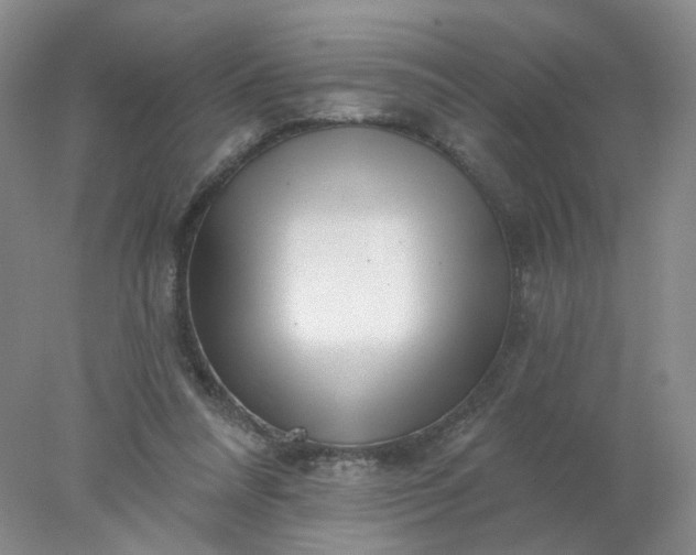 X0000077980304200611101709
