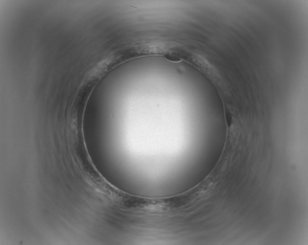X0000077980306200611101709