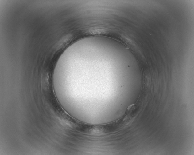 X0000077980308200611101709
