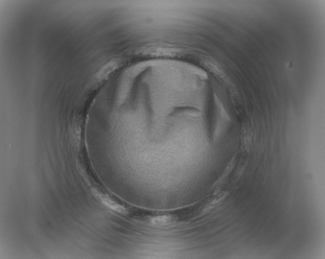 X0000077980309200611101709