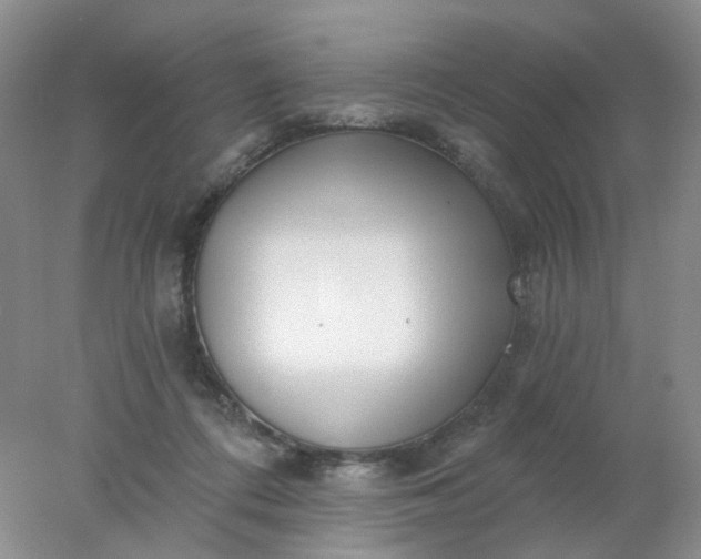 X0000077980312200611101709