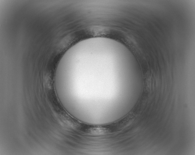X0000077980316200611101709