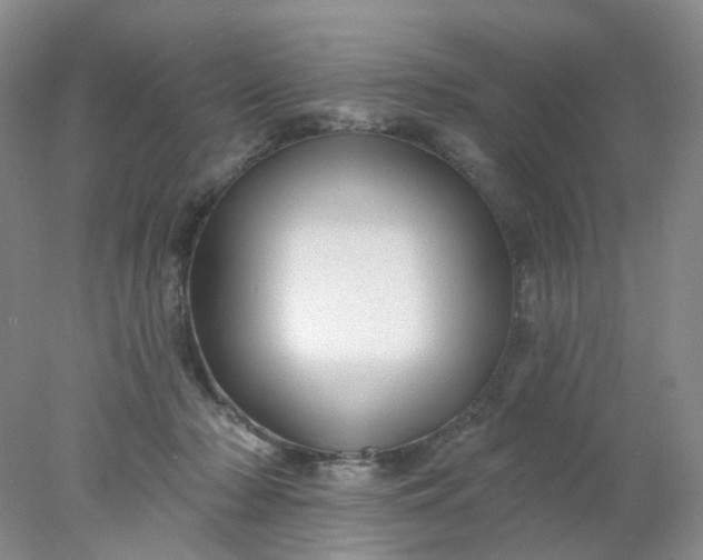 X0000077980318200611101709