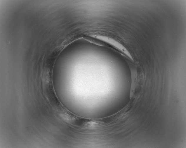 X0000077980323200611101709