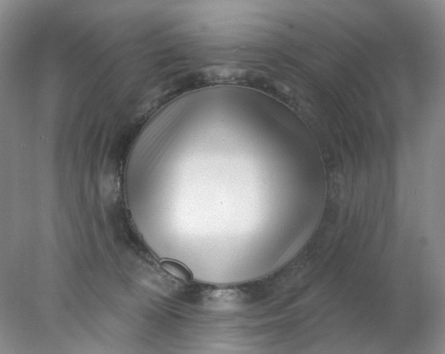 X0000077980324200611101709