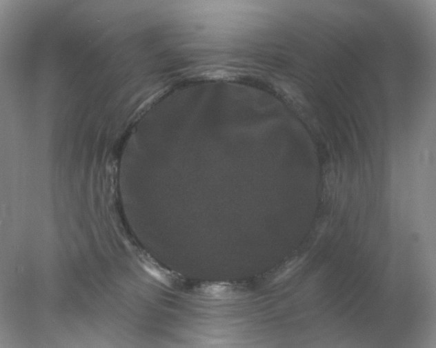 X0000077980325200611101709