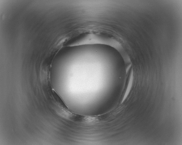 X0000077980333200611101709