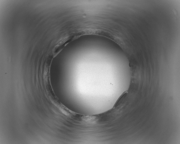 X0000077980334200611101709