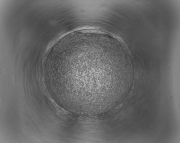 X0000077980337200611101708