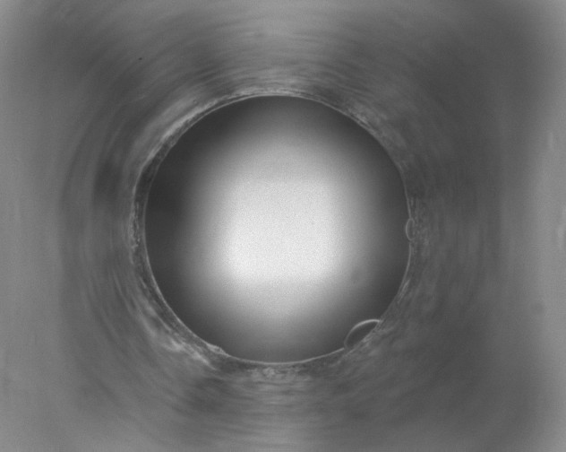 X0000077980338200611101708