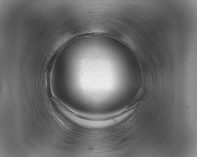 X0000077980350200611101708