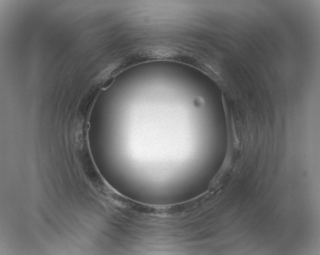 X0000077980360200611101708
