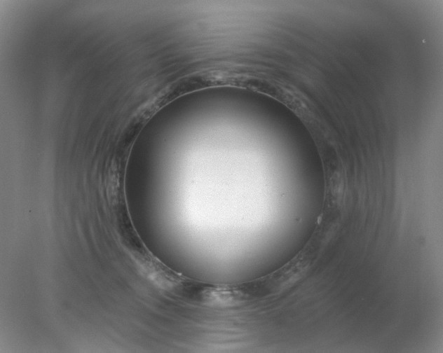 X0000077980372200611101708