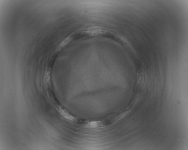 X0000077980382200611101708