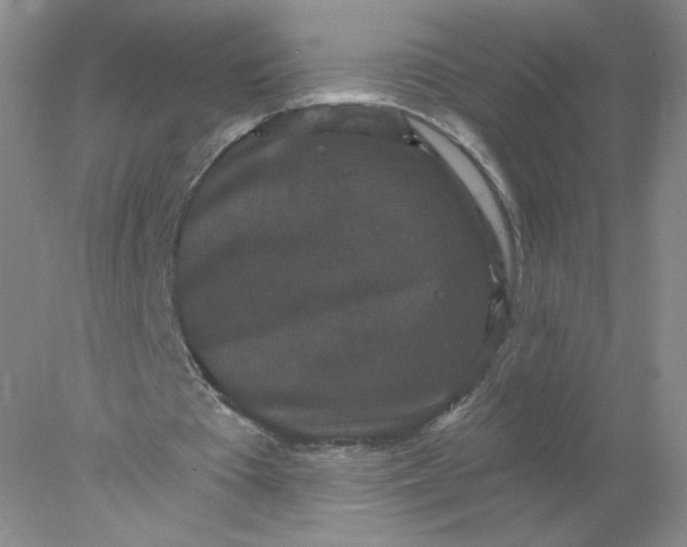 X0000077980385200611101708