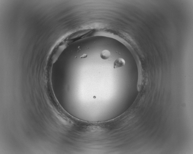 X0000077980392200611101708