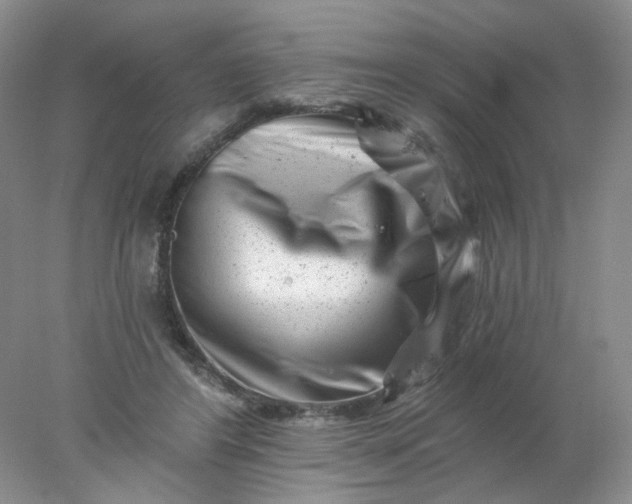 X0000077980404200611101707