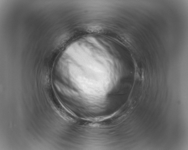 X0000077980408200611101707