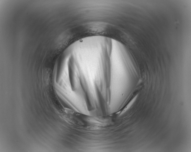 X0000077980412200611101707