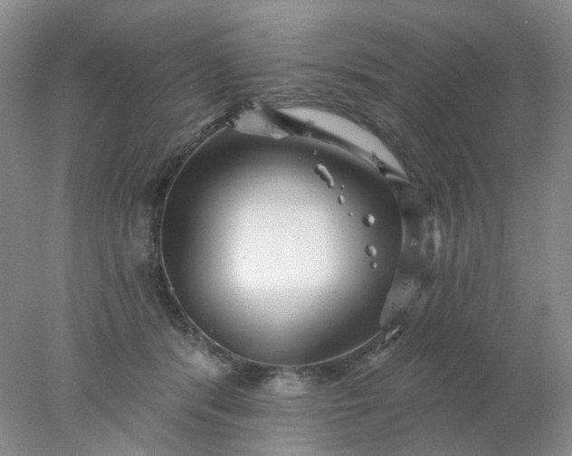 X0000077980416200611101707