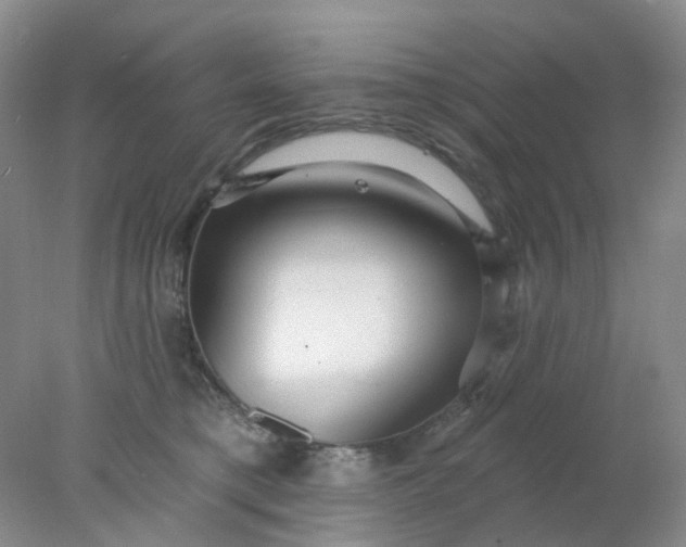 X0000077980421200611101707