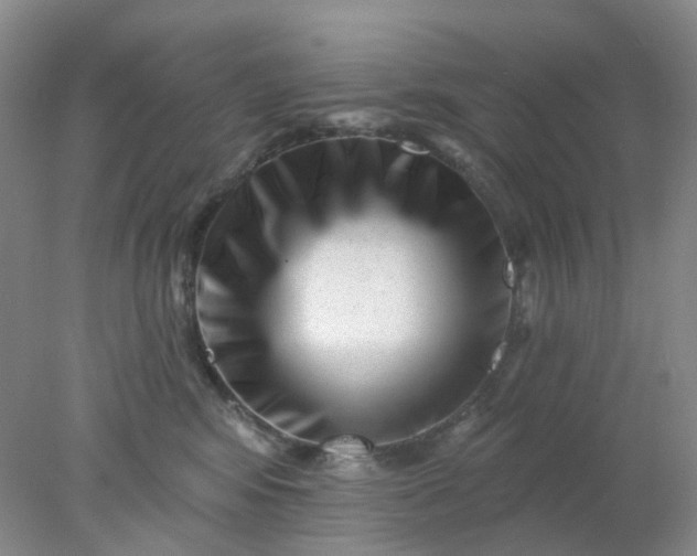 X0000077980424200611101707