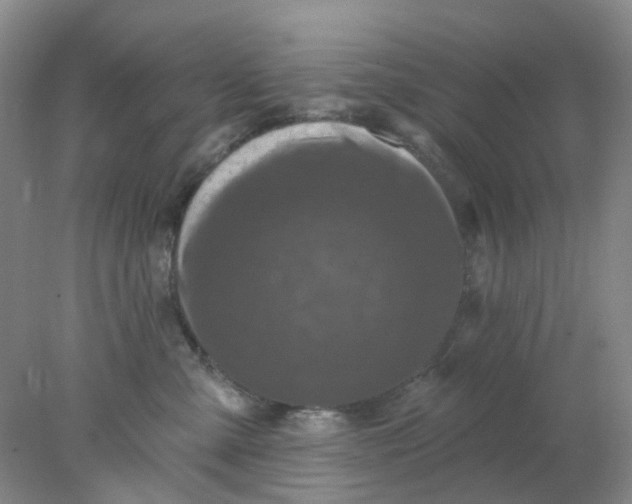 X0000077980427200611101707