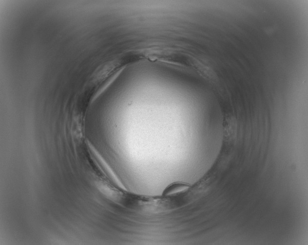 X0000077980430200611101707