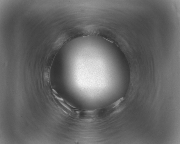 X0000077980432200611101707